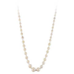 Graduating White Opal Bead Necklace