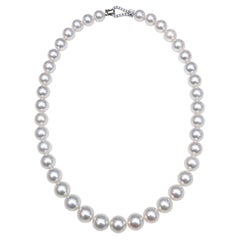 Australian White South Sea Pearl Necklace 9.5–12.5mm with Metallic Luster