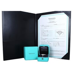 26650 Tiffany & Co. Verlobungsring aus Platin mit einem Diamanten der Reinheit H und der Qualität VS1 (0,74 Karat) in Kanalfassung, Größe 6,25