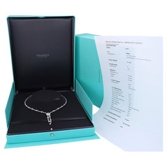Tiffany Co Platinum Diamond Bezel Halo Jazz Circlet Drop Dangle Necklace