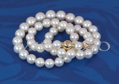 26847 Mikimoto 18k Yellow Gold 9x7mm Akoya Pearl 1893 Diamond Ball Necklace