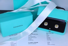 26280 Tiffany Soleste Platinum Fancy Vivid Yellow Diamond Double Halo Earrings