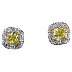 26280 Tiffany Soleste Platinum Fancy Vivid Yellow Diamond Double Halo Earrings