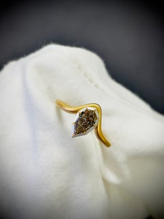 Prism Arc - Fancy Step Cut Brown Diamond set in Designer Ring in 18K Yellow Gold