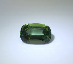 Artisan 34.08ct Loupe Clean Afghan Green Tourmaline, Long Cushion Cut