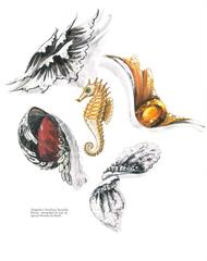 Jewelry of the 1940s and 1950s (Book)