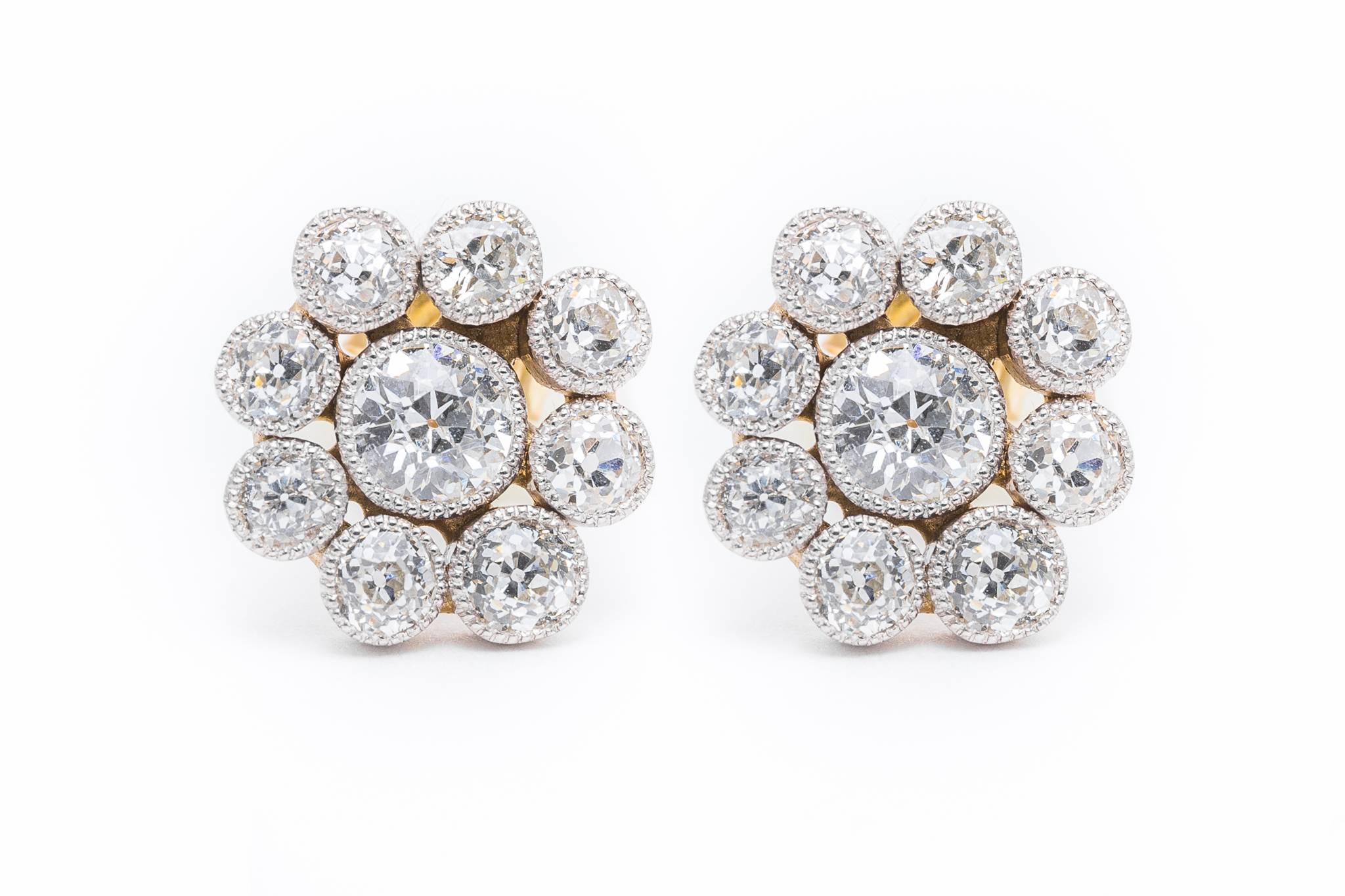 Beacon Hill Jewelers Presents:

A beautiful pair of original edwardian period diamond earrings in luxurious platinum. Each featuring a center diamond surrounded by accenting diamonds, these earrings are a classic example of a timeless favorite, halo