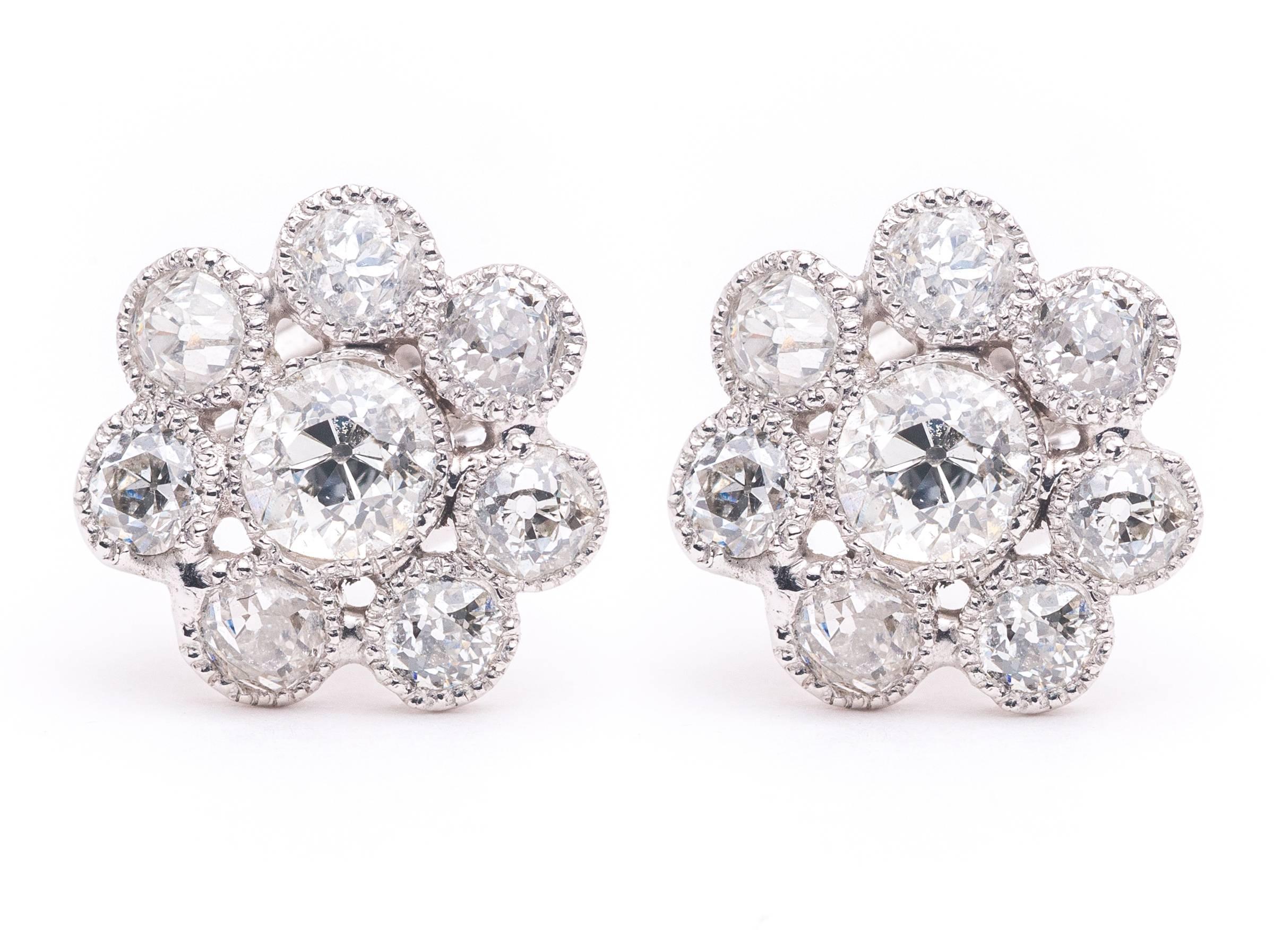 Beacon Hill Jewelers Presents:

On Sale for a limited time only! Was $2295 now $1795

A beautiful pair of flower style diamond earrings in luxurious platinum. Centered by a pair of old european cut diamonds, these earrings feature seven diamond set