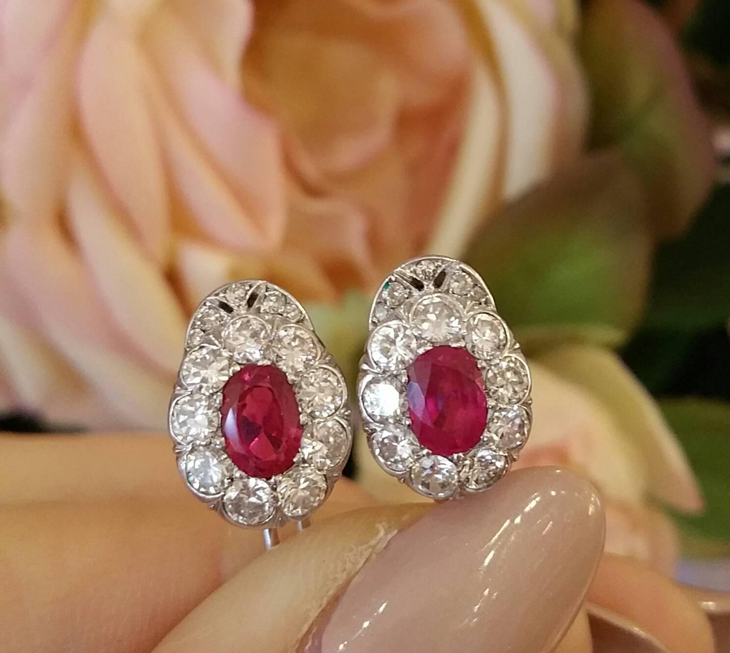 Women's Oval Ruby Diamond Platinum Earrings  For Sale