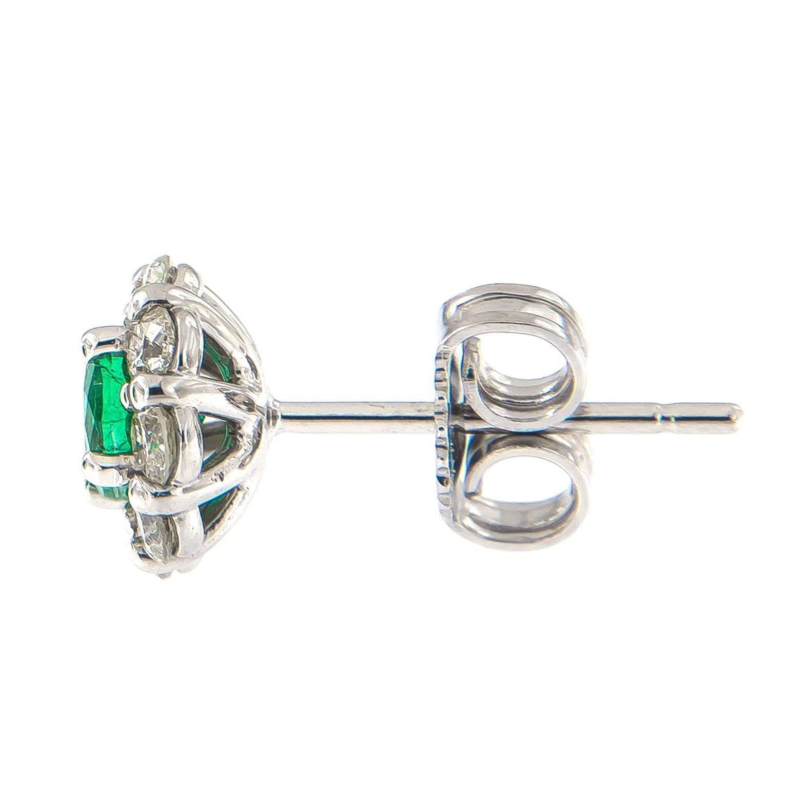 These elegant stud earrings in 14k white gold feature round-shape emeralds and are nestled in sparkling halos of white diamonds. Green is the most restful color to the eye, and these tranquil earrings are sure to please!

Emeralds 0.55 cttw
RBC