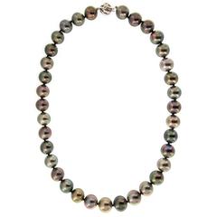 Tahitian Multi-Color Pearl Necklace