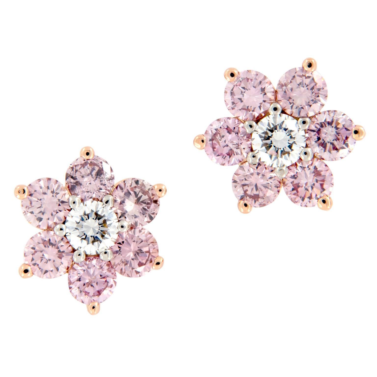 Retired Argyle Mine Fancy Pink Diamond Cluster Rose Gold Platinum Earrings