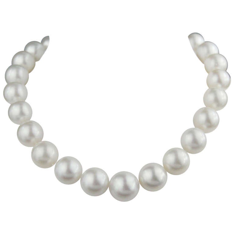 Large South Sea Cultured Pearl Necklace 18mm by 15mm