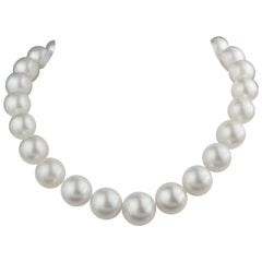 Large South Sea Cultured Pearl Necklace 18mm by 15mm