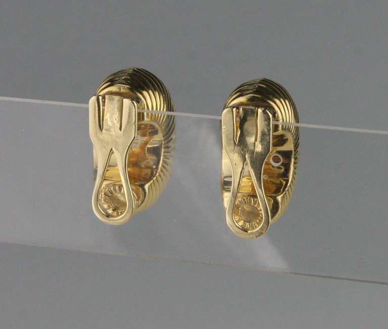 Gold Shell Ear Clips 2