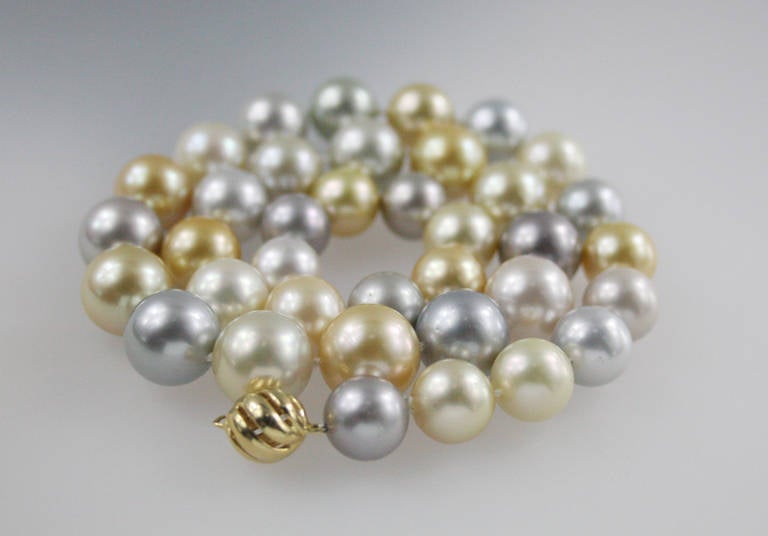 Natural color cultured pearl necklace consisting of: south sea, tahitian and golden pearls. 37 pearls measure from 15.3 mm to 12mm and are strung on a hand-knotted silk cord with a yellow gold clasp. 
Total length 18 1/2 inches,