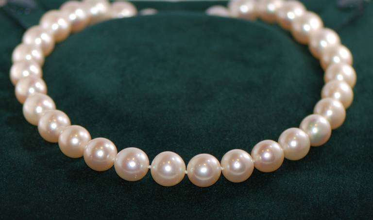 37 South Sea Cultured Pearls of graduated 10.3 to 12 mms Diameter 
including a spherical clasp set with approx. 1.00 ct of 72 brillant-cut Diamonds in 750/- White Gold.
Length 43 cms.
Cultured Pearls with beautiful lustre in cream-white.