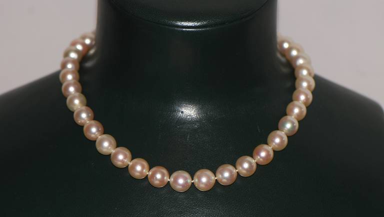 South Sea Cultured Pearl Single-Strand Necklace In Excellent Condition In Frankfurt, DE