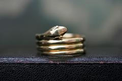 1920s Wide Snake Ring