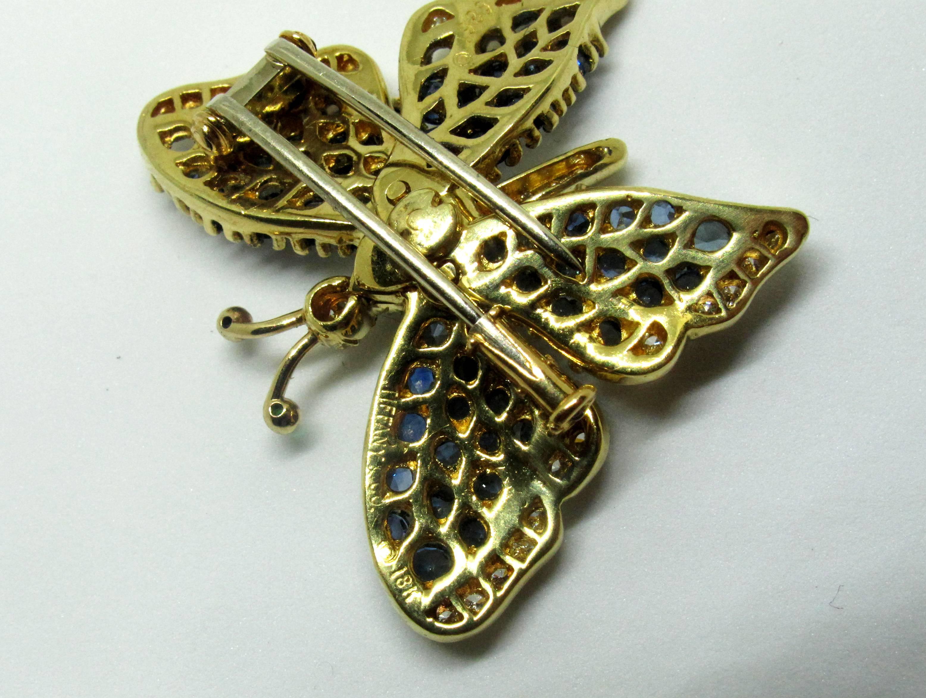 santa fe sapphire butterfly