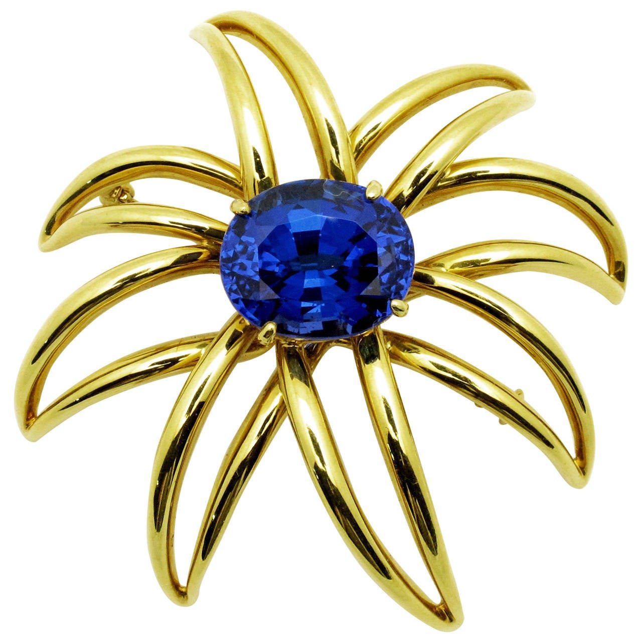 Tiffany & Co. Tanzanite Gold Fireworks Brooch