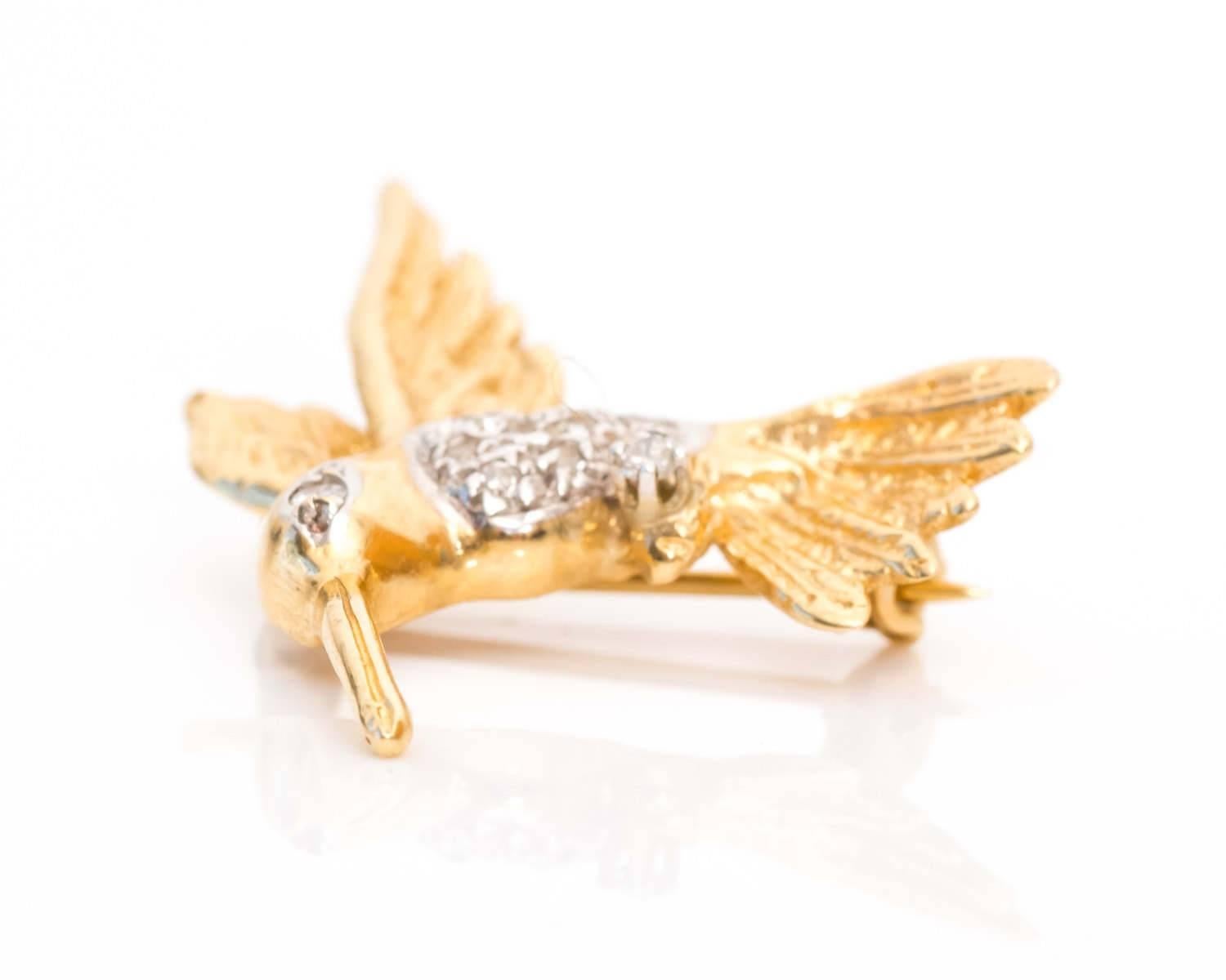 gold hummingbird pin