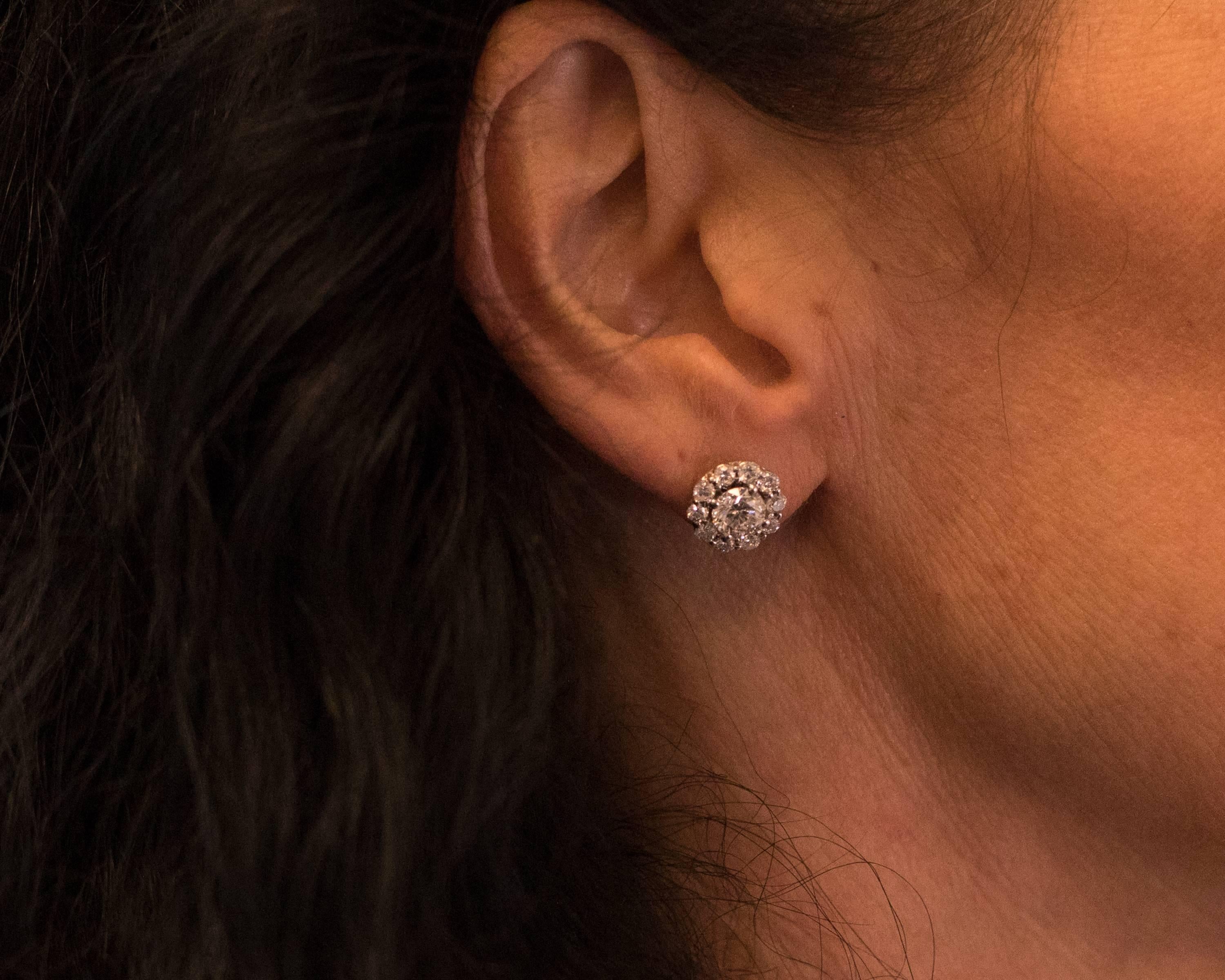 2 carat diamond halo earrings