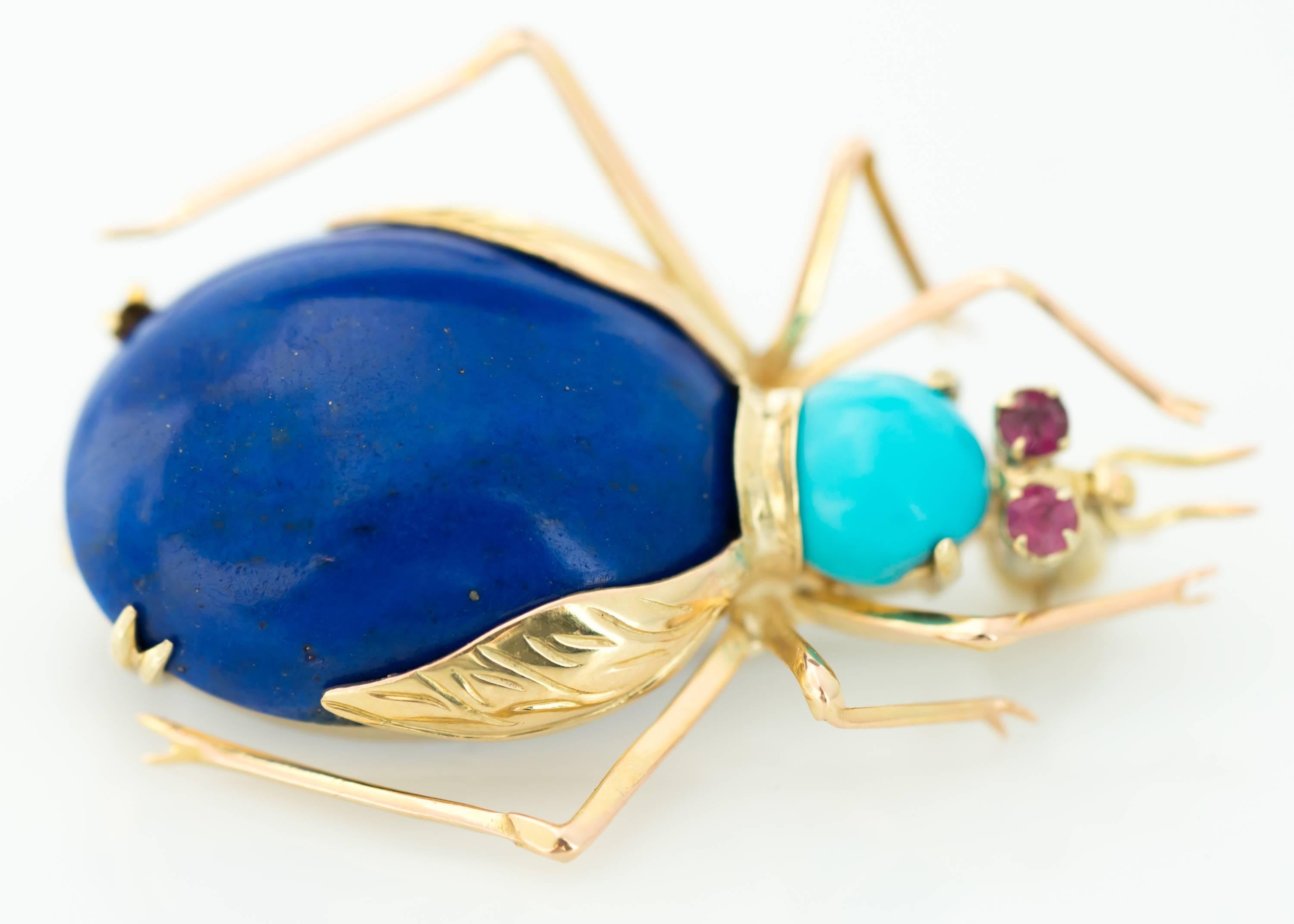 turquoise insect