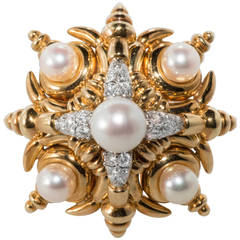 Cartier Aldo Cipullo Pearl Diamond Gold Platinum Brooch