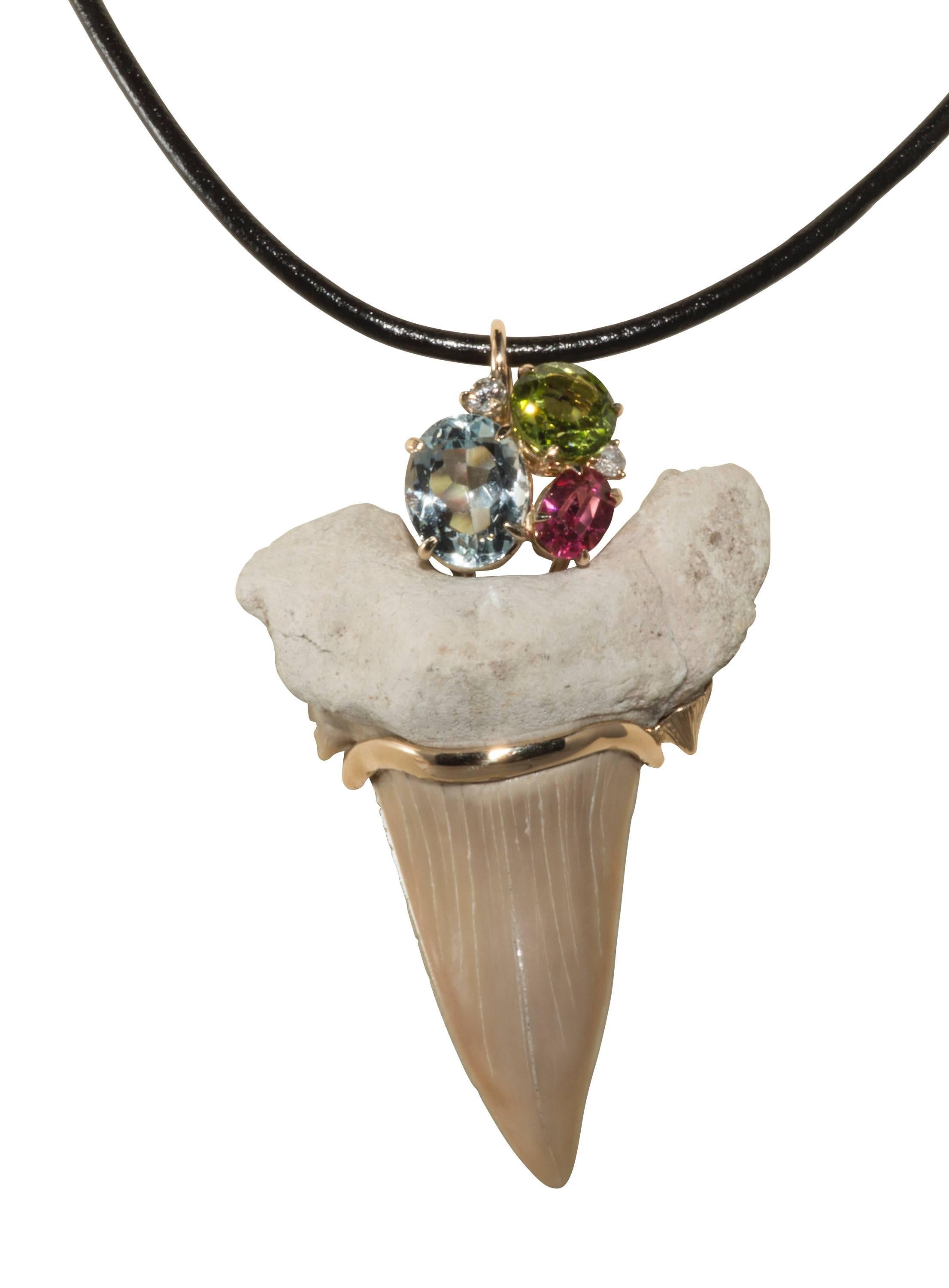 This is a very avant garde pendant made from a fossilized sharks tooth.  It has three stones consisting of an aquamarine, a peridot, a pink spinel and two small diamonds all set in 14k yellow gold.