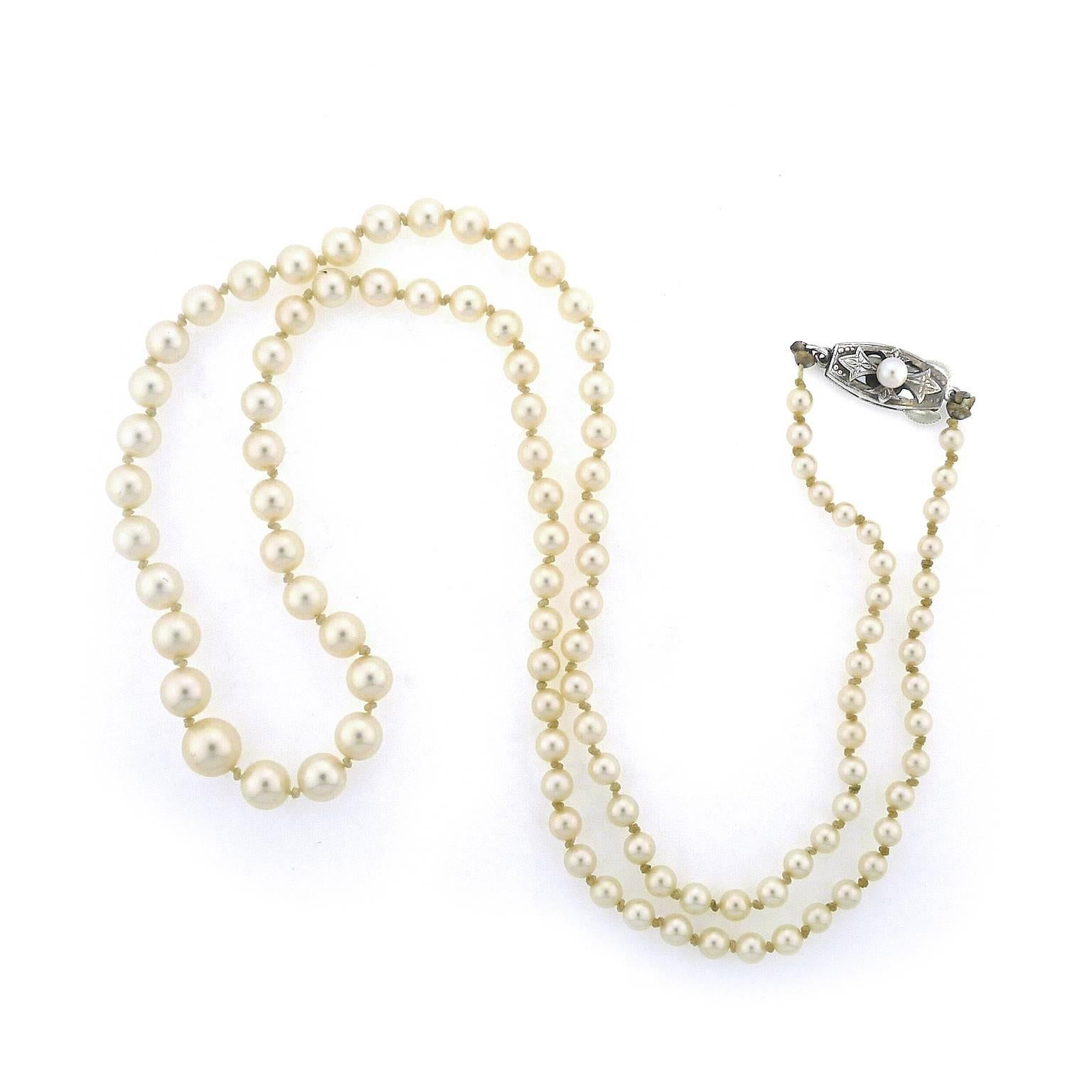 High luster, creamy white cultured pearls circa 1950's graduate from 3 millimeters to 7 millimeters. Silver clasp is set with one 3.66 millimeter cultured pearl. Surface of pearls is free from blemishes. Necklace measures 22 inches including clasp