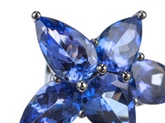 Tanzanite Cluster Earrings in 18 Karat White Gold
