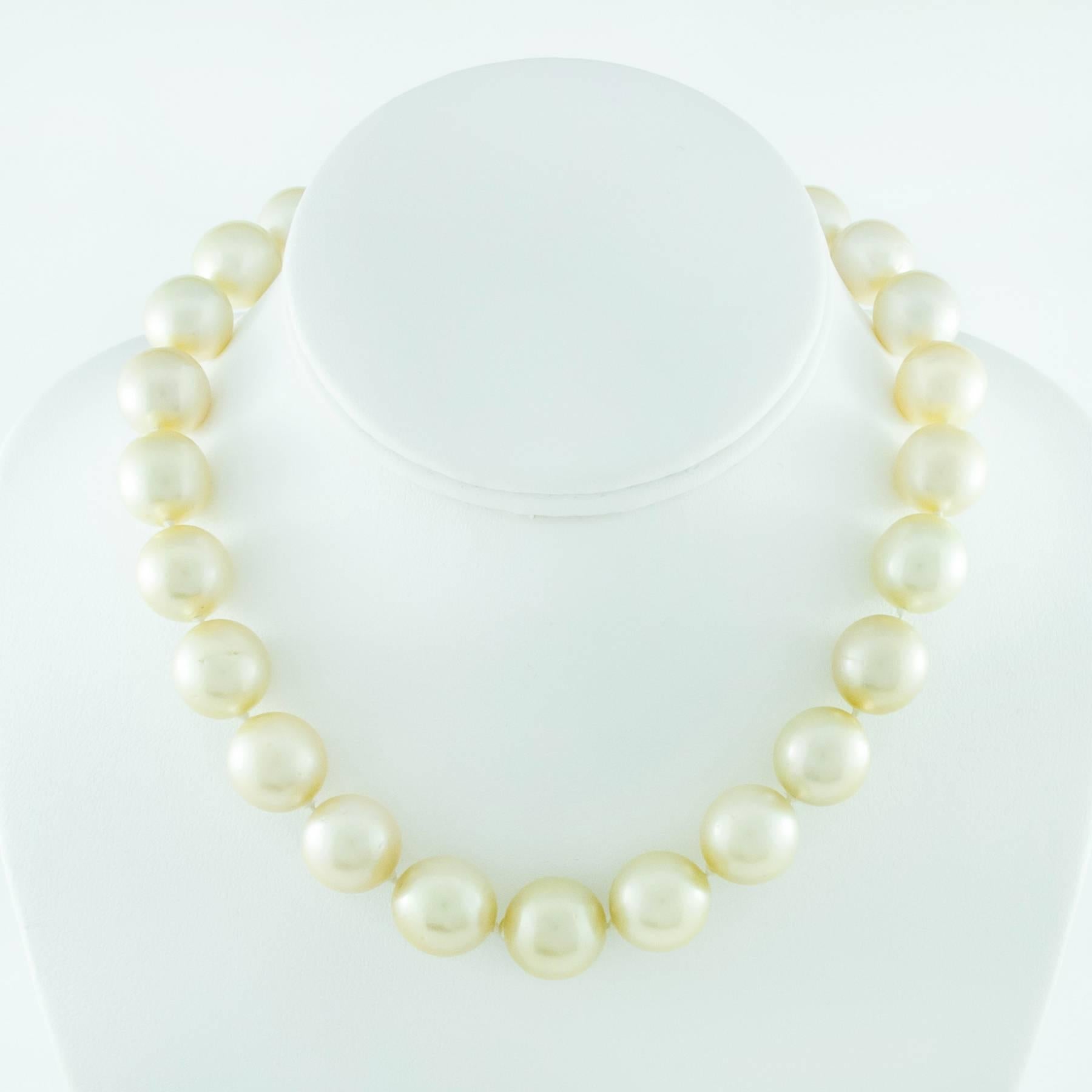 There are 25 Champagne 13-13.5mm South Seas Pearls in this necklace, which features a beautiful 18K yellow gold decorative tongue and groove closure.

The wearable length of this strand is 16 inches long. The Champagne Pearls are well matched with