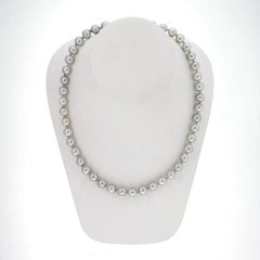 Natural Grey Japanese Akoya Cultured Pearl Gold Necklace
