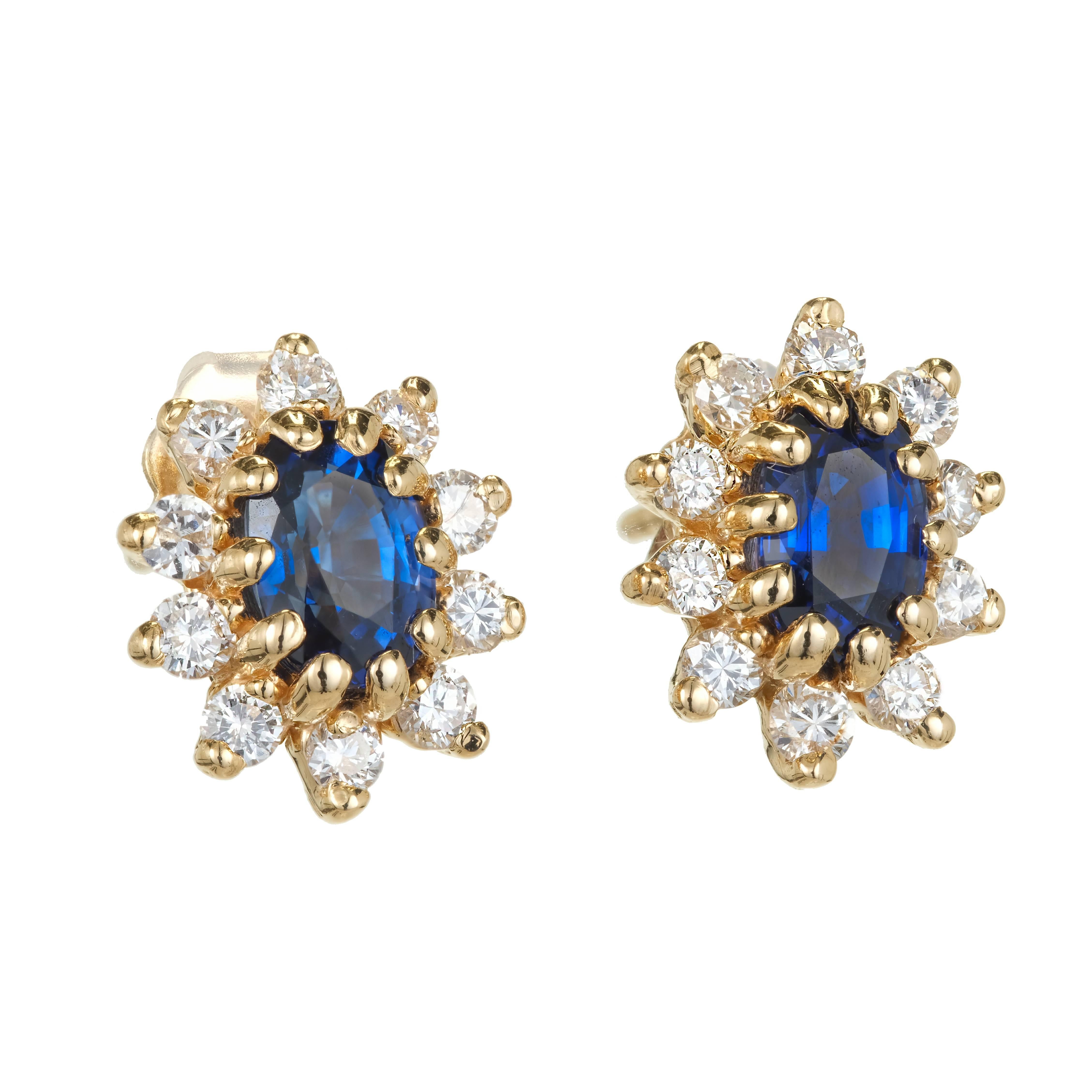 Sapphire an diamond stud earrings. 2 oval sapphires totaling 1.20cts set in 14k yellow gold settings each with a halo of round full cut diamonds. 

2 oval blue Sapphires, approx. total weight 1.20cts, 6.16 x 4.3 x 2.89mm
20 round full cut Diamonds,