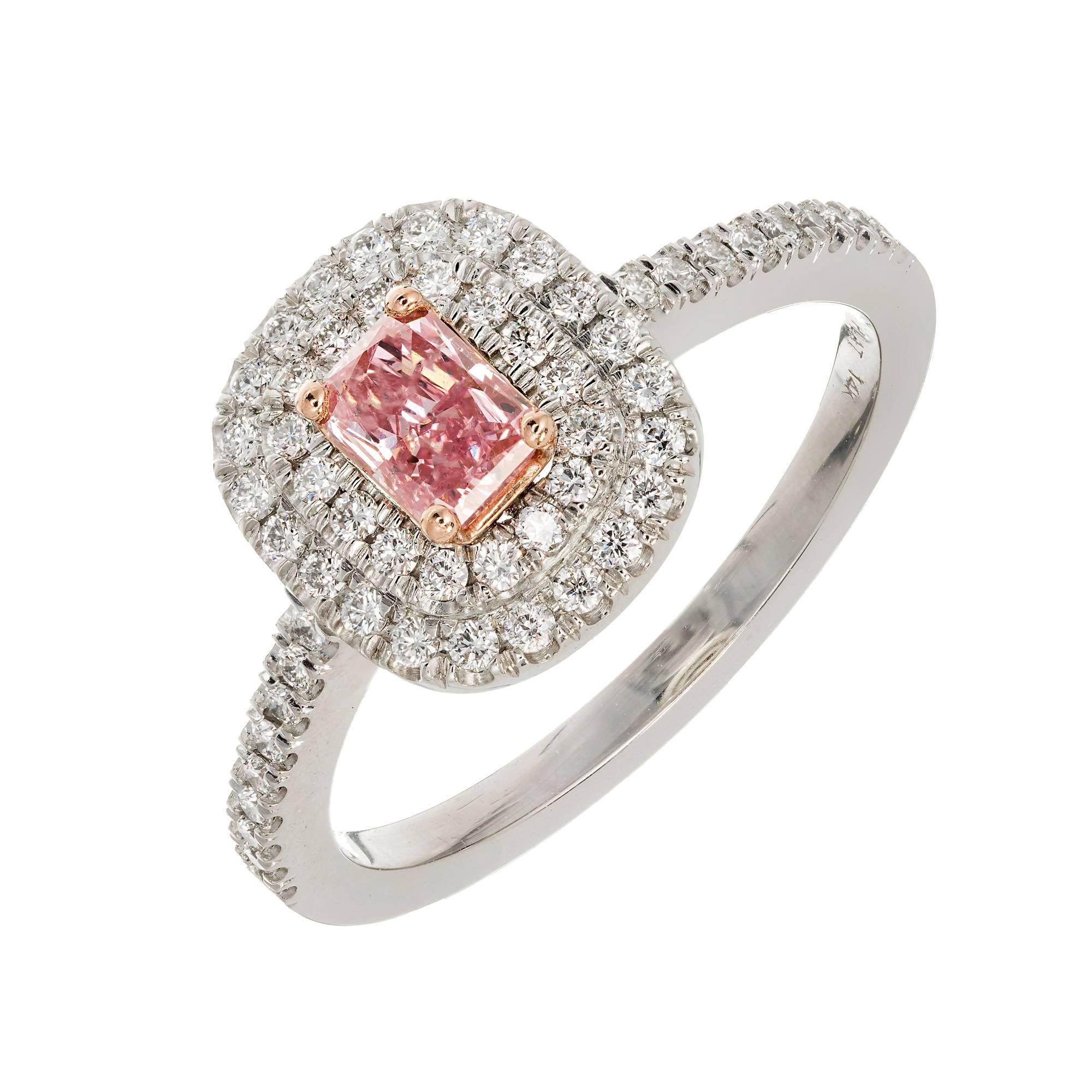 Peter Suchy bright fancy intense pink diamond halo engagement ring in a platinum setting with a 14k rose gold center. GIA certified 21654240587

1 fancy intense pink diamond.  Approximately .31 carats. GIA Certificate # 21654240587
59 full cut