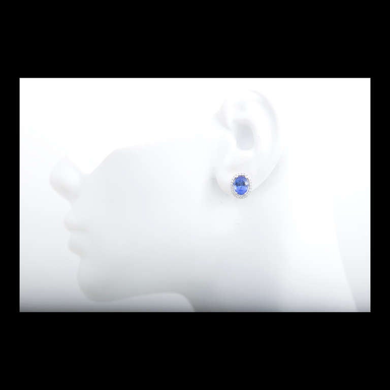 Women's ED Gem Purple Oval Tanzanite And Diamond Earrings