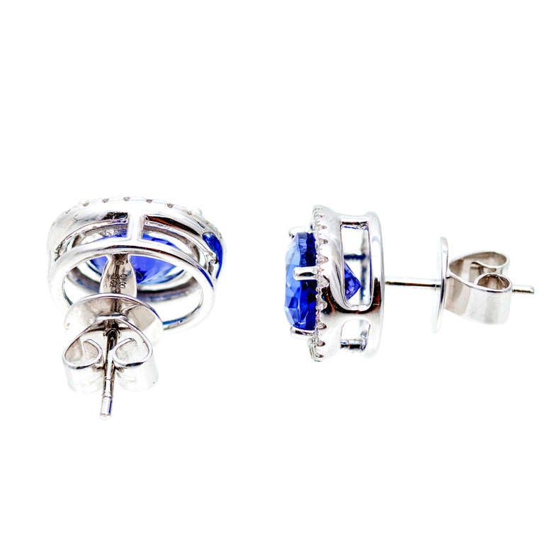 ED Gem Purple Oval Tanzanite And Diamond Earrings 1