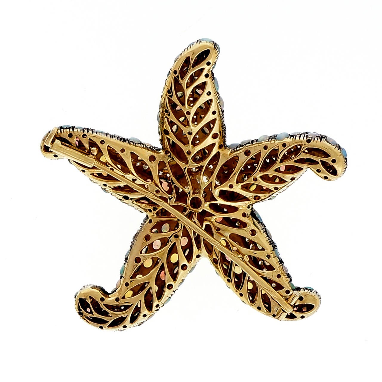 starfish pins
