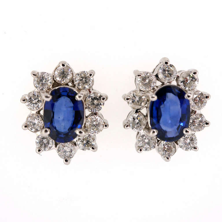 Oval Sapphire Diamond Halo Gold Earrings 1