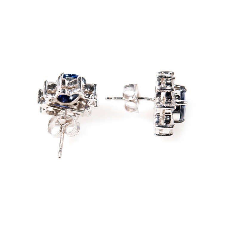 Women's Oval Sapphire Diamond Halo Gold Earrings