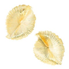 Tiffany & Co. Gold Swirl Fan Clip Post Earrings