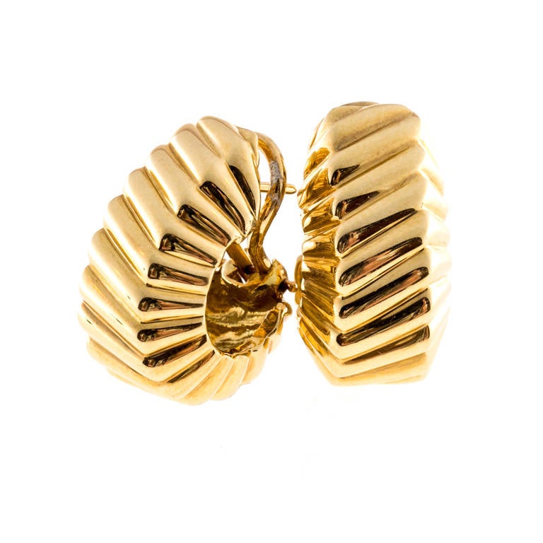 gold shrimp hoop earrings