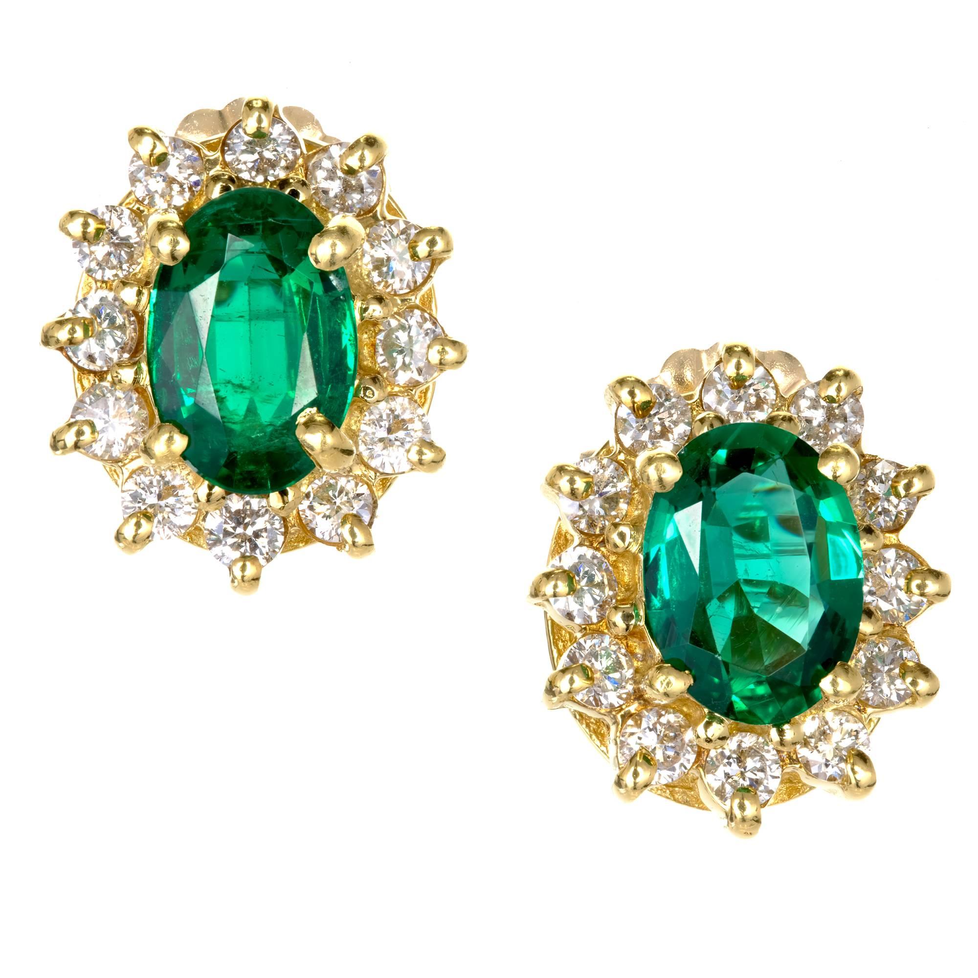 Bright green clear emeralds 1.80cts total surrounded by a halo of white full cut diamonds in a 14k yellow gold setting.

2 top gem green genuine Emeralds 7 x 5mm oval approx. total weight 1.80cts   Simple oil only and no other enhancements.
24 full
