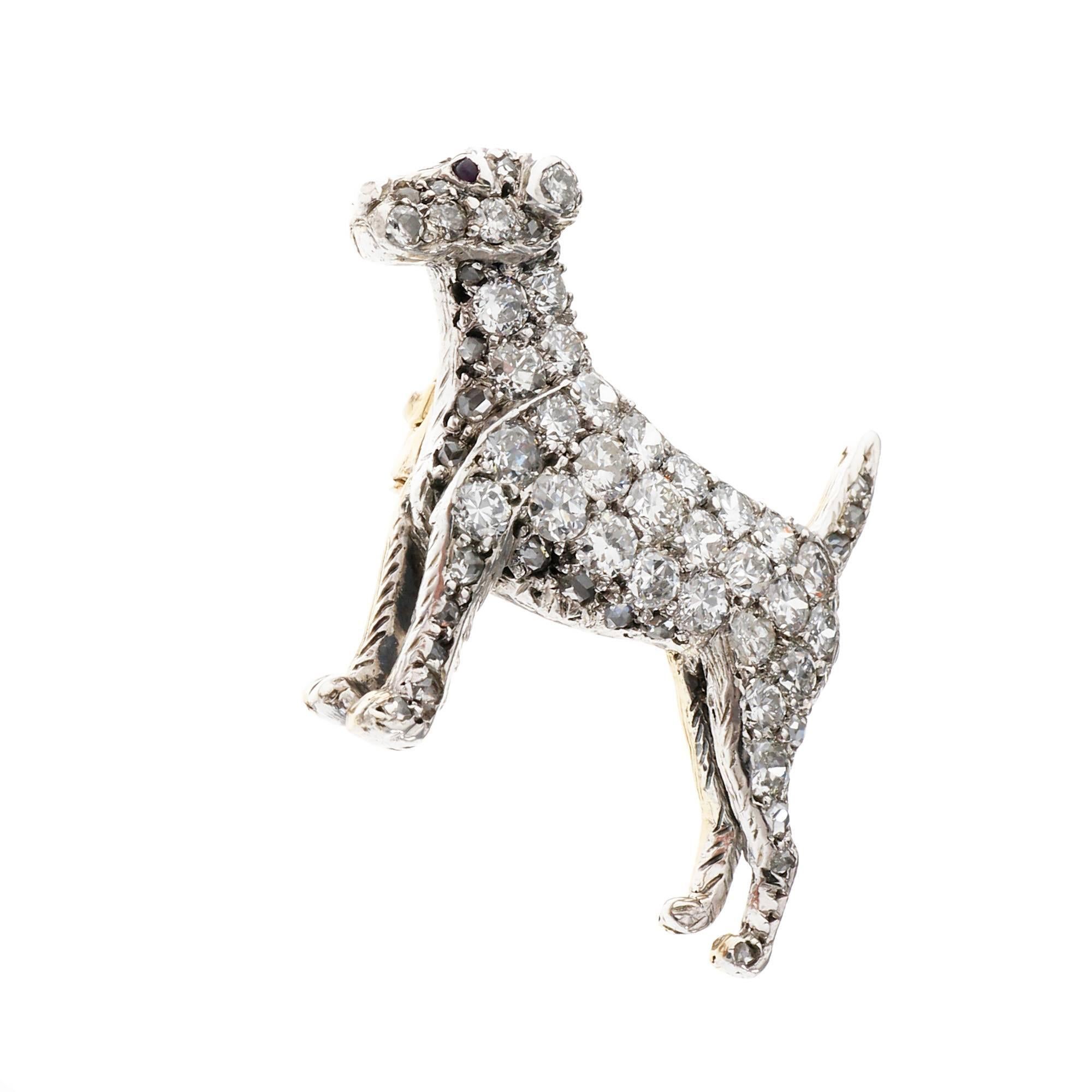 1930's Art Deco Pave Diamond Ruby gold pointer dog brooch. This unique brooch features a stunning 31 round cut diamonds totaling 1.24 carat's in a pave setting, radiating brilliance from every angle. A vibrant red cabochon ruby add a pop of color