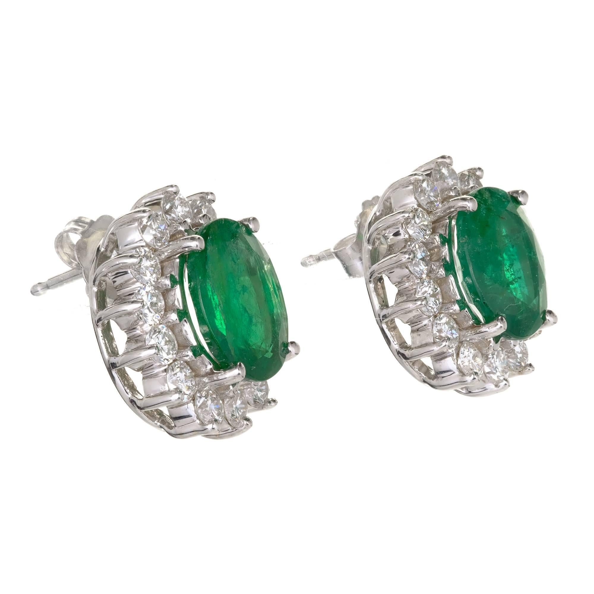 Emerald and diamond halo in a classic oval earring 18k white gold settings. Emeralds are surrounded by a halo of bright white diamonds. Top enhanced gem bright green color Emeralds natural oval brilliant and step cut, one minor clarity enhanced, one