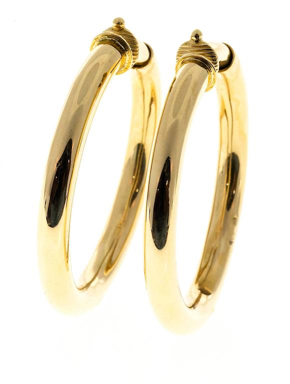 Clip On Earring Hoops Non Pierced Ears Stainless Steel Spring