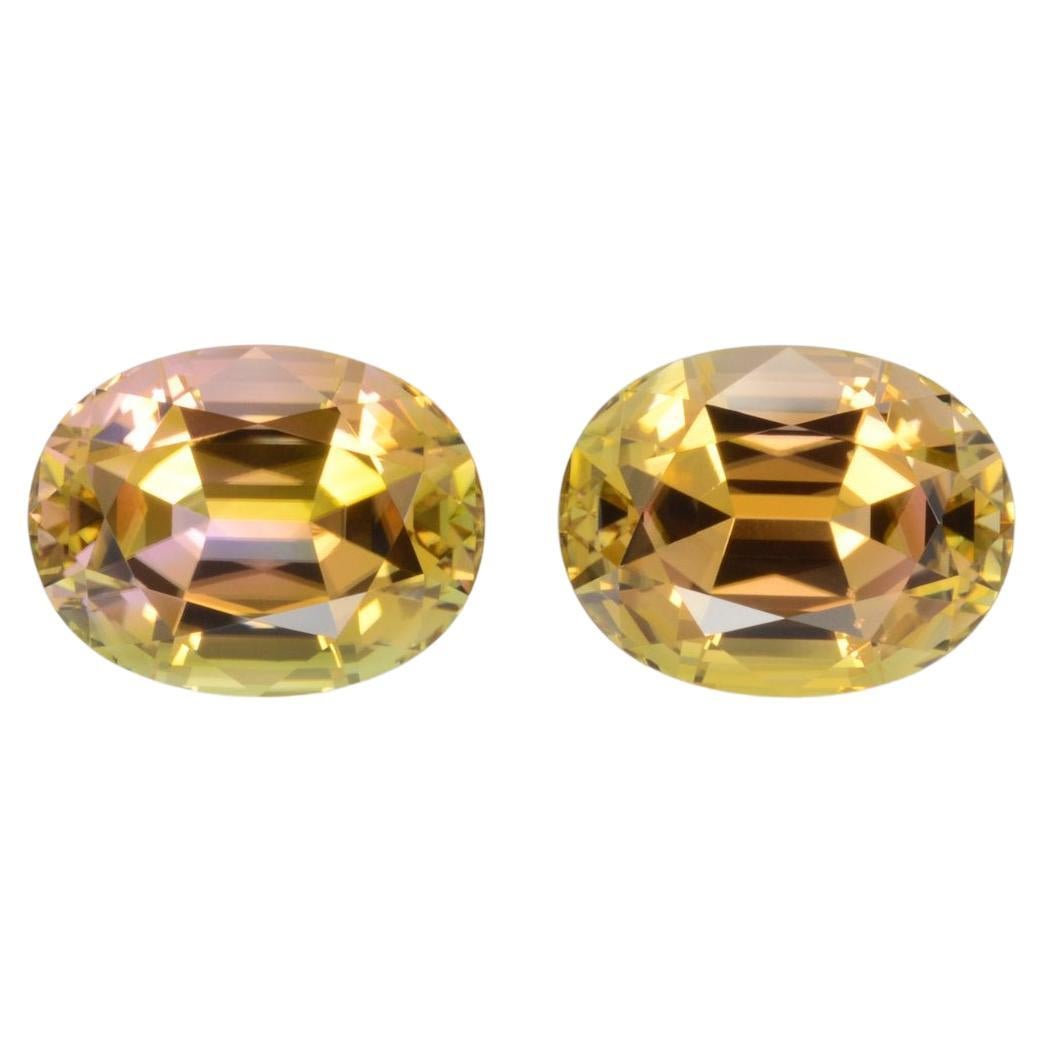 Oval Cut Autumn Bicolor Tourmaline Earrings Gemstone Pair 13.99 Carat Loose Gems