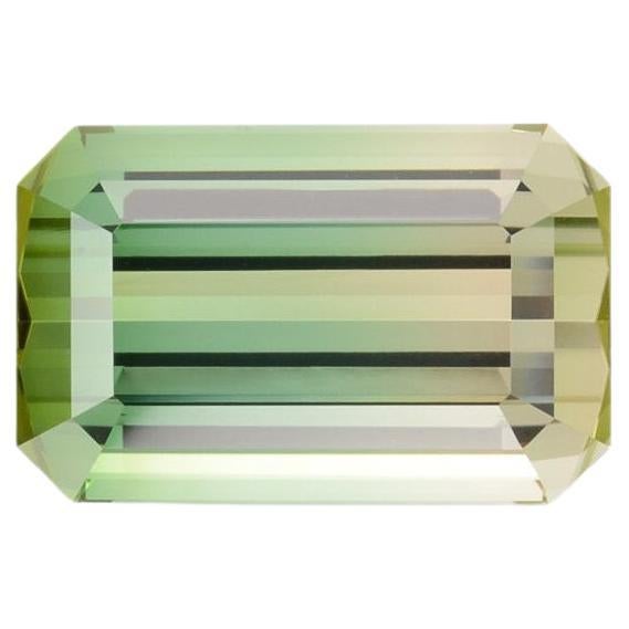Bicolor Tourmaline Ring Gem 17.68 Carat Emerald Cut Loose Gemstone
