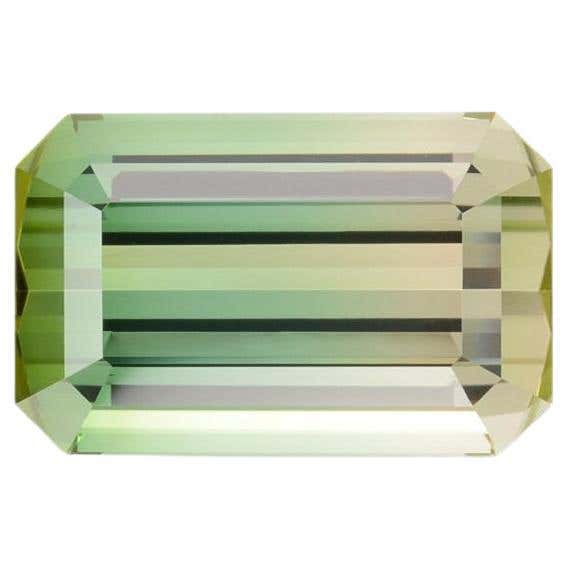 Bluish Green Emerald Cut Tourmaline Perfect for Custom Luxury Jewelry Bluish Green Emerald Cut Tourmaline Perfect for Custom Luxury Jewelry